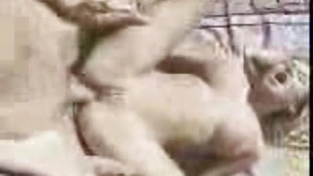 Visoka definicija :  Diva poziva ljubavnika da je kresne kroz gloryhole Hot porn 